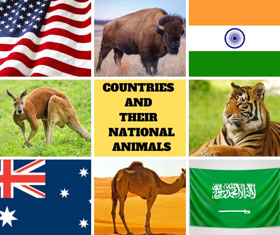 Countries and their National Animals - Remember Animals