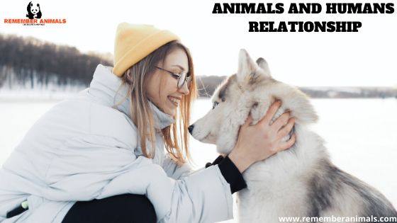 animals and humans relationship