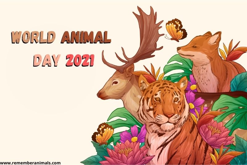 World Animal Day 2021: History and Celebration - Remember Animals