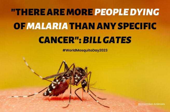 world mosquito day 2023