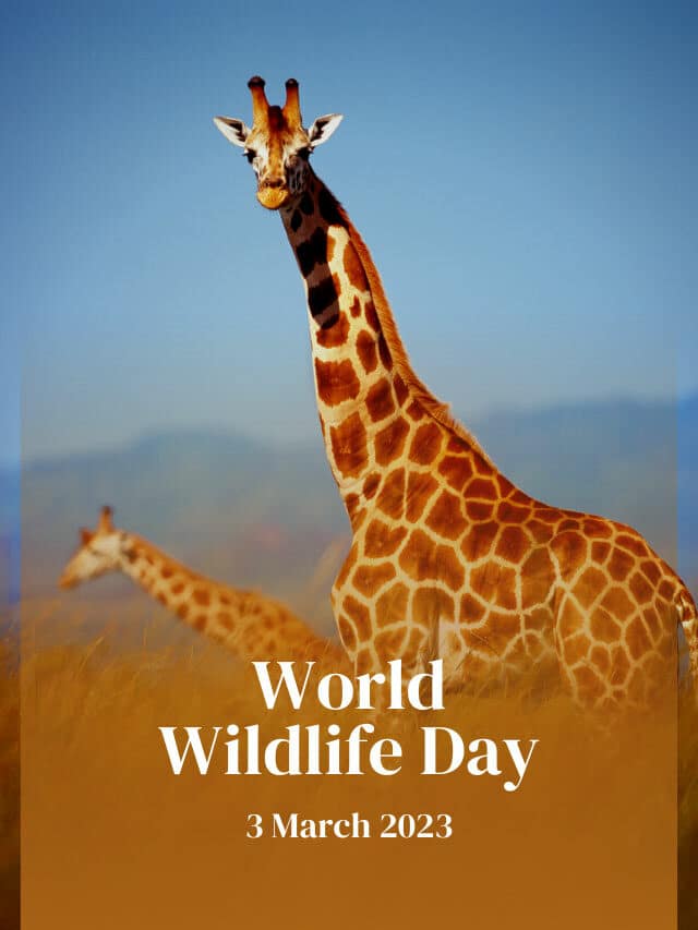 Why is World Wildlife Day 2023 celebrated?